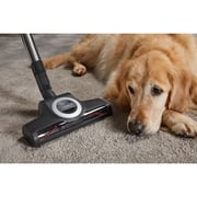Miele Blizzard CX1 Cat&Dog PowerLine Bagless Cylinder Vacuum Cleaner SKCF5