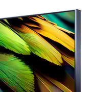 evvoli 75EV600MA 4K Mini LED Android Smart Television 75inch