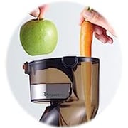 Buy Kenwood Slow Juicer JMP800SI Online in UAE Sharaf DG