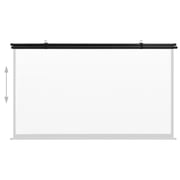 vidaXL Projection Screen 60
