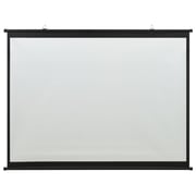 vidaXL Projection Screen 63