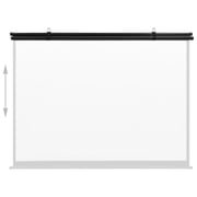 vidaXL Projection Screen 63