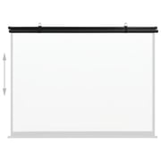 vidaXL Projection Screen 50
