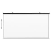 vidaXL Projection Screen 90