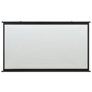vidaXL Projection Screen 100