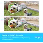 TPLink Tapo C420S2 Smart Wi-Fi Security Camera