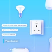 TPLink Tapo P100 Mini Smart Wi-Fi Socket 2300W
