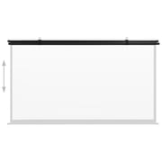 vidaXL Projection Screen 120