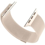 Protect Watch Strap Milanese Gold