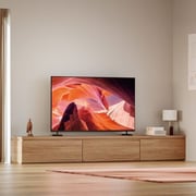 Sony KD65X80L 4K HDR Smart Google LED Television 65inch (2023 Model)