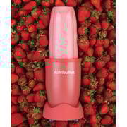 Nutribullet MultiFunction Blender NB91212ABG Online Shopping on