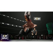 PS4 AEW Fight Forever Game