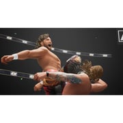 PS4 AEW Fight Forever Game