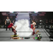 PS4 AEW Fight Forever Game