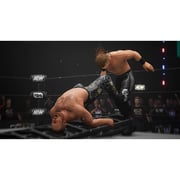 PS4 AEW Fight Forever Game