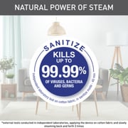 Tefal Garment Steamer DT7130G0