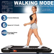 Skyland 2-in-1 Smart Foldable Treadmill EM-1287-H