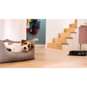Miele Robot Vacuum Cleaner Obsidian Black Scout RX3 OBSW