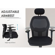 Mahmayi Ergonomic Adjustable Office Chair
