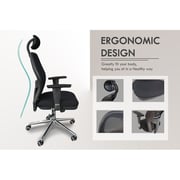 Mahmayi Ergonomic Adjustable Office Chair