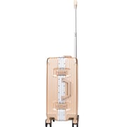 Stargold 1 Pc Hard Side Cabin Trolley Case Champagne