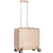 Stargold 1 Pc Hard Side Cabin Trolley Case Champagne
