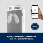 Blueair Filter Grey - DM-5200-106320