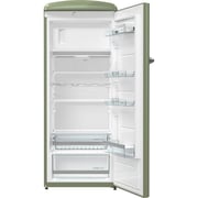 Gorenje Single Door Refrigerator 254 Litres ORB153OL