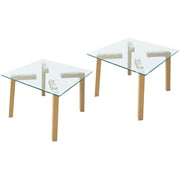 Mahmayi HYCT12-60 Modern Glass Coffee Table for Dining and Living Room, Home Furniture - Set of 2