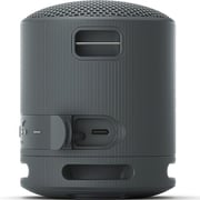 Sony Portable Bluetooth Speaker Black