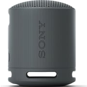Sony Portable Bluetooth Speaker Black