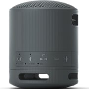 Sony Portable Bluetooth Speaker Black