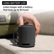 Sony Portable Bluetooth Speaker Black