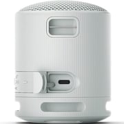 Sony Portable Bluetooth Speaker Light Grey