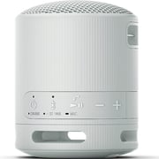 Sony Portable Bluetooth Speaker Light Grey