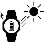 Casio MTP-RS100D-2AVDF STANDARD Men's Watch