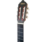 Valencia Classical Guitar VC204-TWR