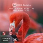 Hisense Class A6 Series 50A65H LED 4K UHD Smart Google Television 50inch (2023 Model)