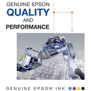 Epson 69 Standard Capacity Ink Cartridge Combo Pack - T069120-BCS