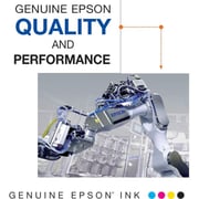 Epson T232 High Yield Ink Cartridge Combo Pack - T232XL-BCS