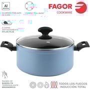FAGOR Pot Aluminum with LID 24 CM 8429113801229