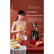 Merkur Fruit Juicer SLOWJUICER