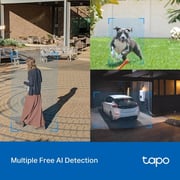 TPLink Tapo C520WS Outdoor Security Camera