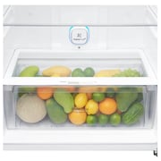 LG Top Freezer Refrigerator, GN-C782SGGL, 2024