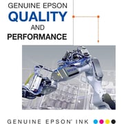 Epson 702 Standard Capacity Ink Cartridges 3-Pack - T702520-S