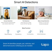 TPLink Tapo C220 AI Home Security WiFi Camera