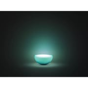 Philips Hue Go LED Lamp 20W