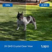 TPLink Tapo C425 Indoor Outdoor Security Camera