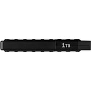 Western Digital C50 Portable SSD Expansion Card 1TB Black WDBMPH0010BNC-WCSN