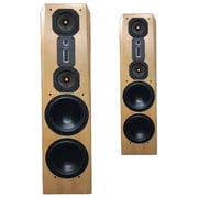Legacy Focus SE Passive Floorstanding Speaker - Pre-order